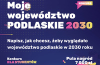 Ilustracja do artykułu moje_wojewodztwo_2030_mini